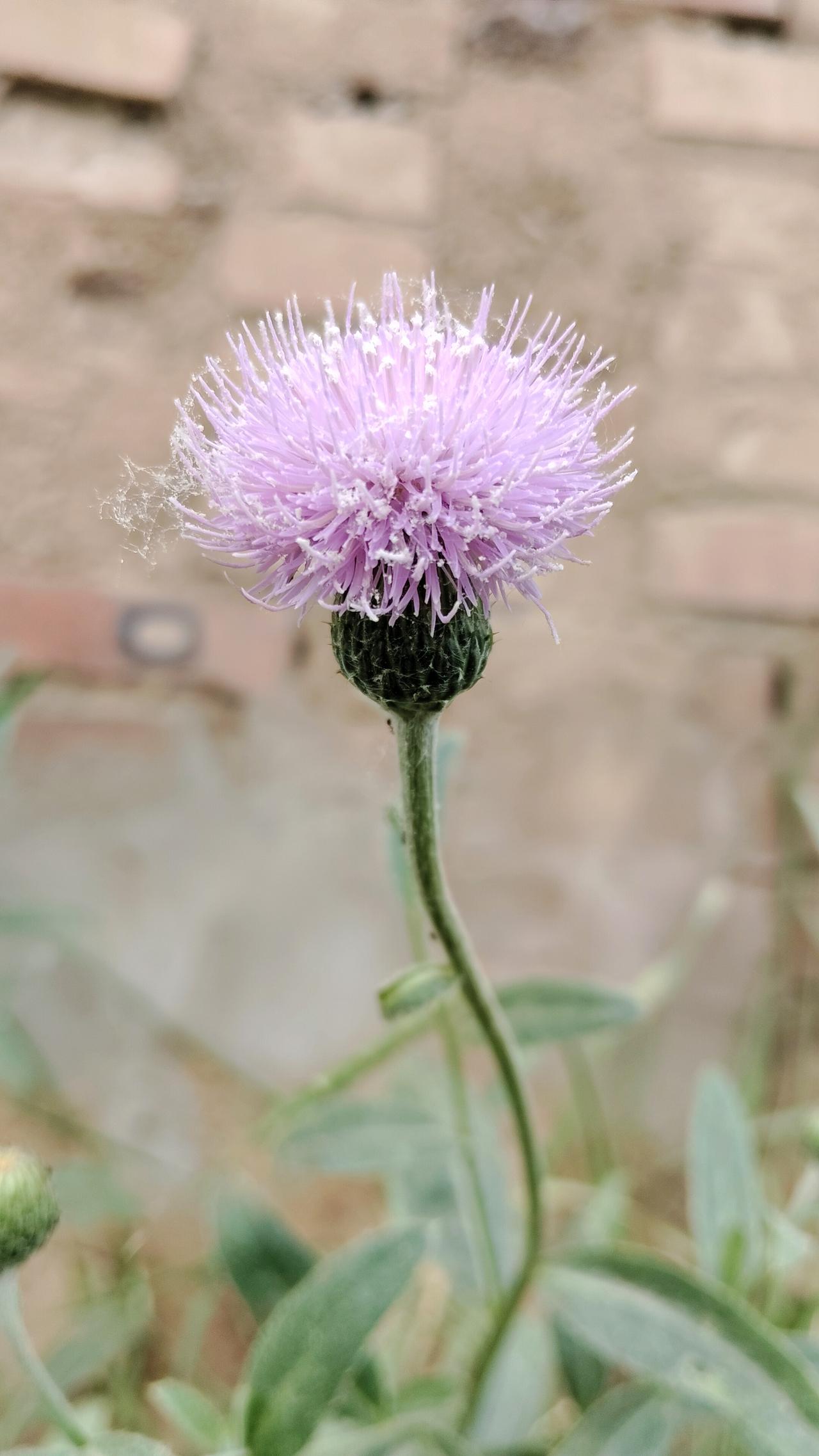 低谷时，别忘了给自己这股劲
 
谁还没摔过几跤呢？
跌进谷底的日子，
抬头看不见