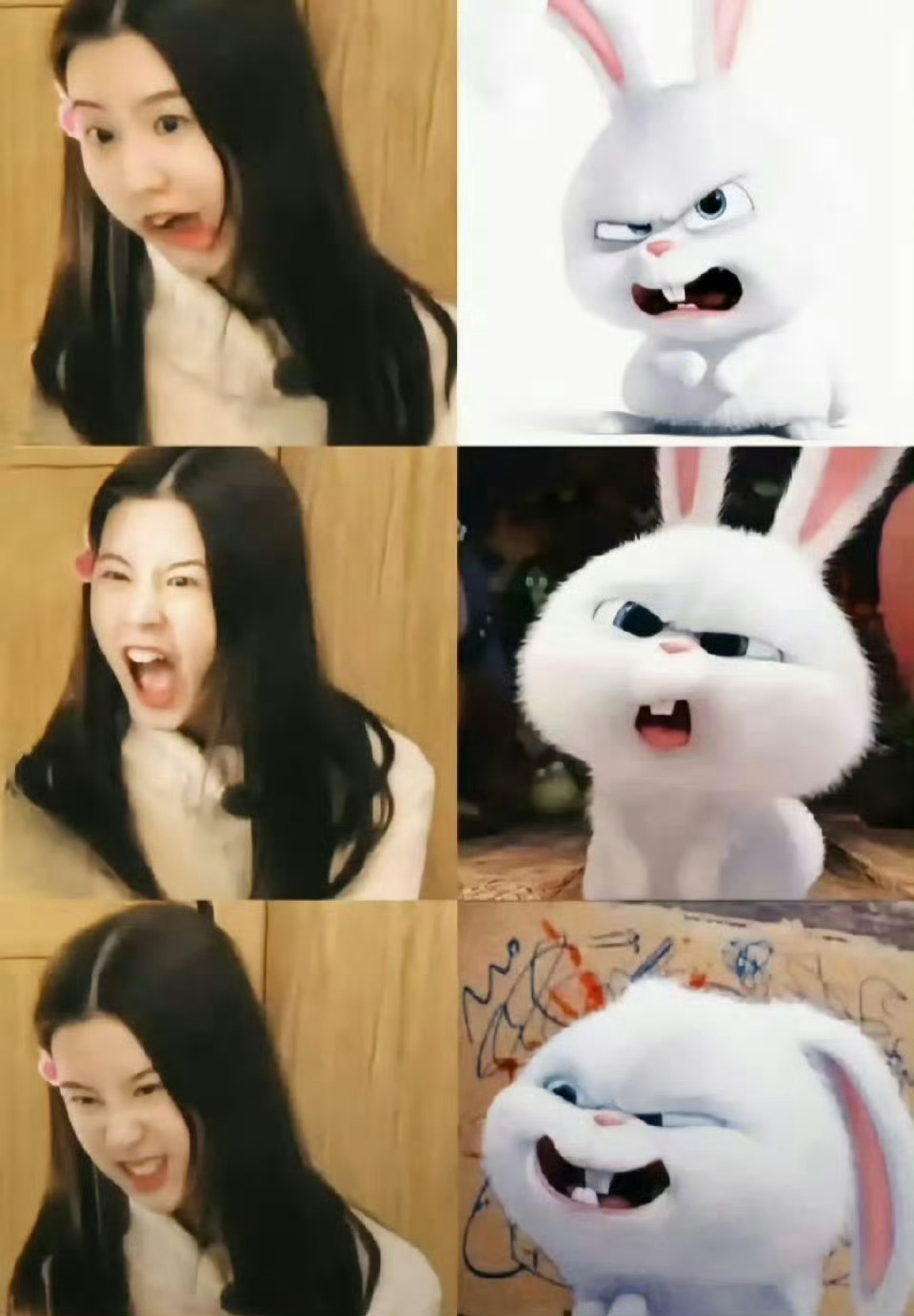 建设陈都灵兔子塑 ​​​