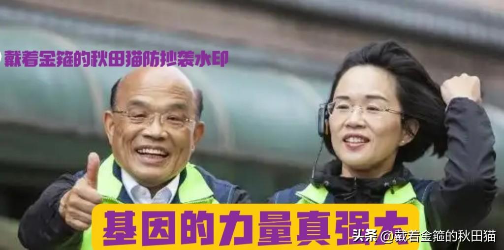 苏巧慧甩锅甩到老爹苏贞昌脸上！谈毒油案被指甩锅地方，遭蓝营民代怒批：睁眼说瞎话，