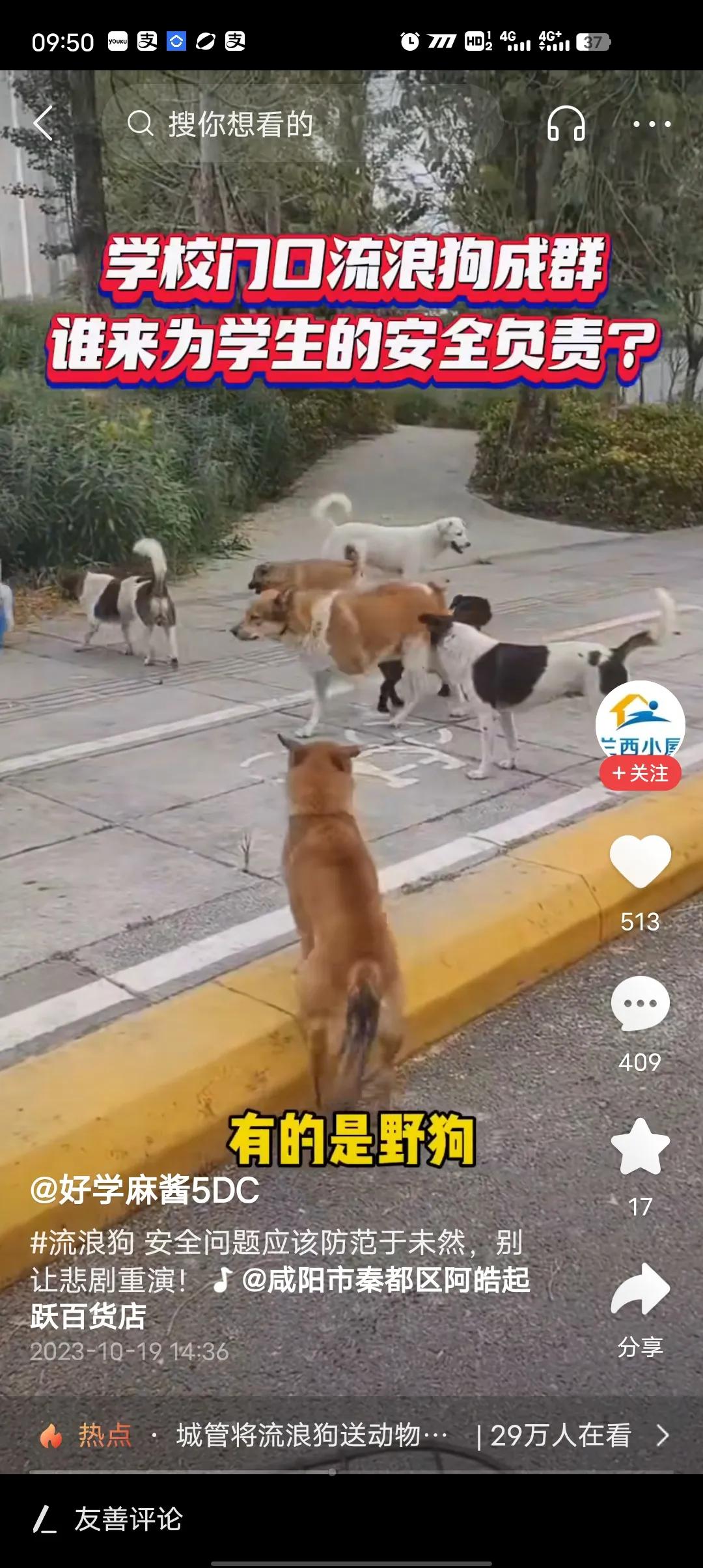 绝大多数所谓爱狗人士，都是为了一时欢娱，如果真爱狗狗，为何不养它20年以上直到老