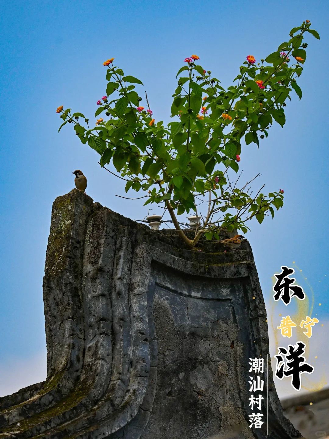 普宁乡行录222｜东洋村