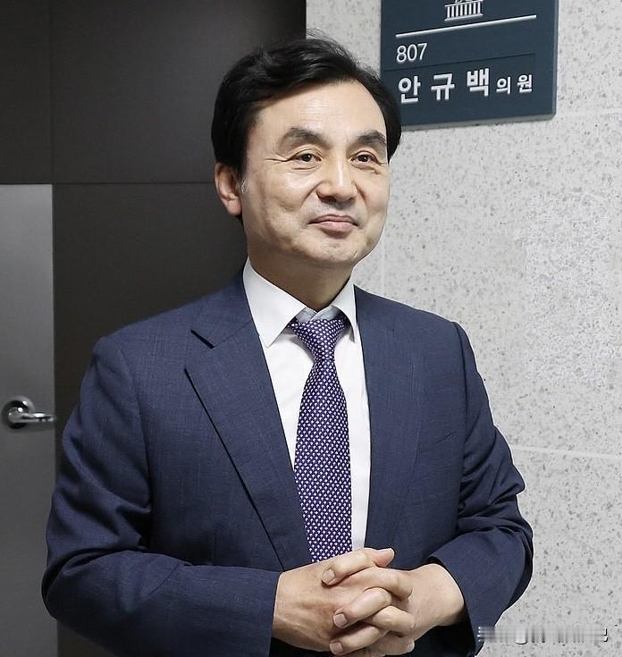 韩国国防部长安圭伯表示，双方在韩美峰会期间签署的合作文件，韩国将增加采购美国武器