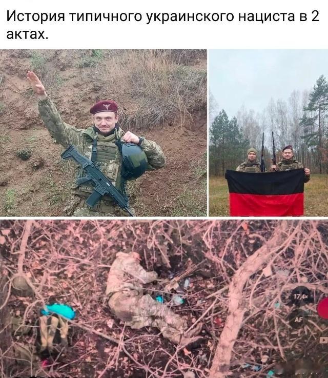 乌克兰新纳粹分子的最终归宿就是成为有机肥。在俄罗斯冷库中冰冻起来的用黑色塑料袋装