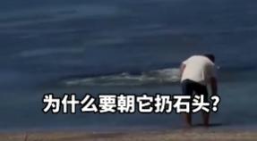 5月12日，美国《纽约邮报》曝光了一桩让人倍感气愤的闹剧，事发在风景优美的夏威夷