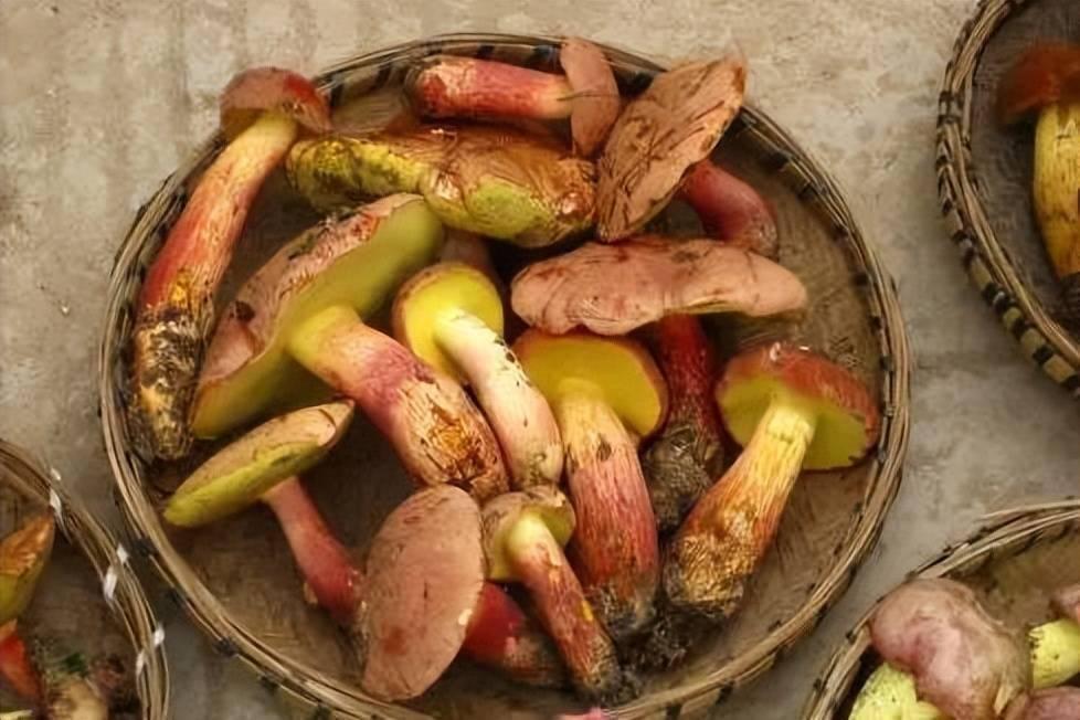 美财长耶伦愉快回忆访华吃“见手青”：味道很鲜美，没有不良反应。

CNN报道，美