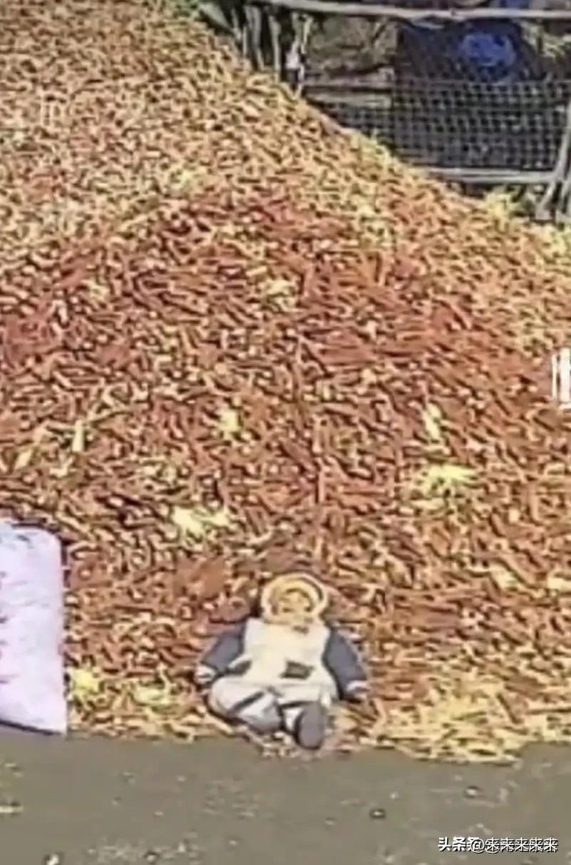 这两天，有个吉林的22个月大的小宝宝，在网上把大家都逗乐了。事情是这样的，妈妈把