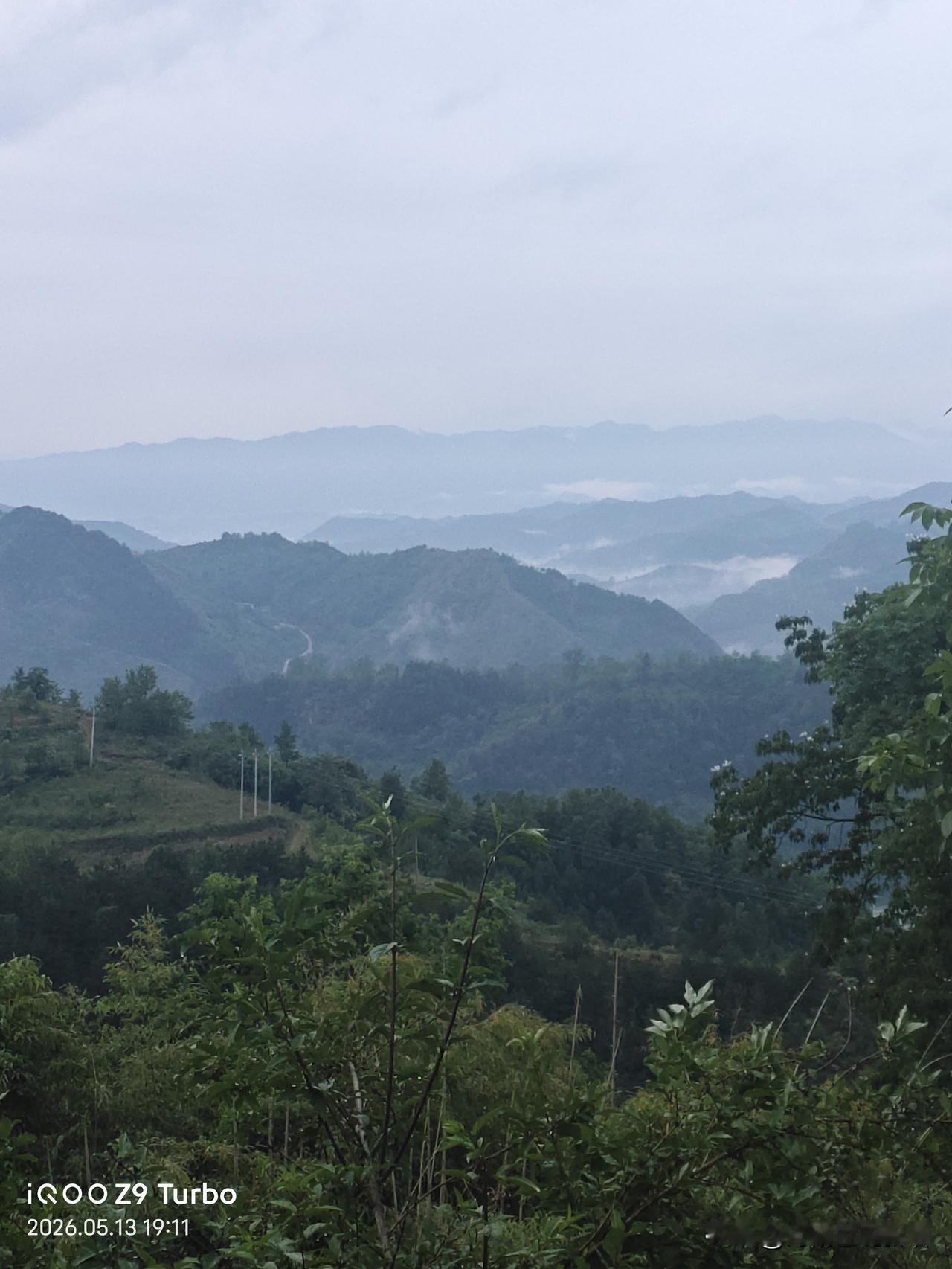 老家樱桃红了，像繁星坠枝，红若丹珠。记得儿时的春天，总在樱桃树下度过，滚铁环、背