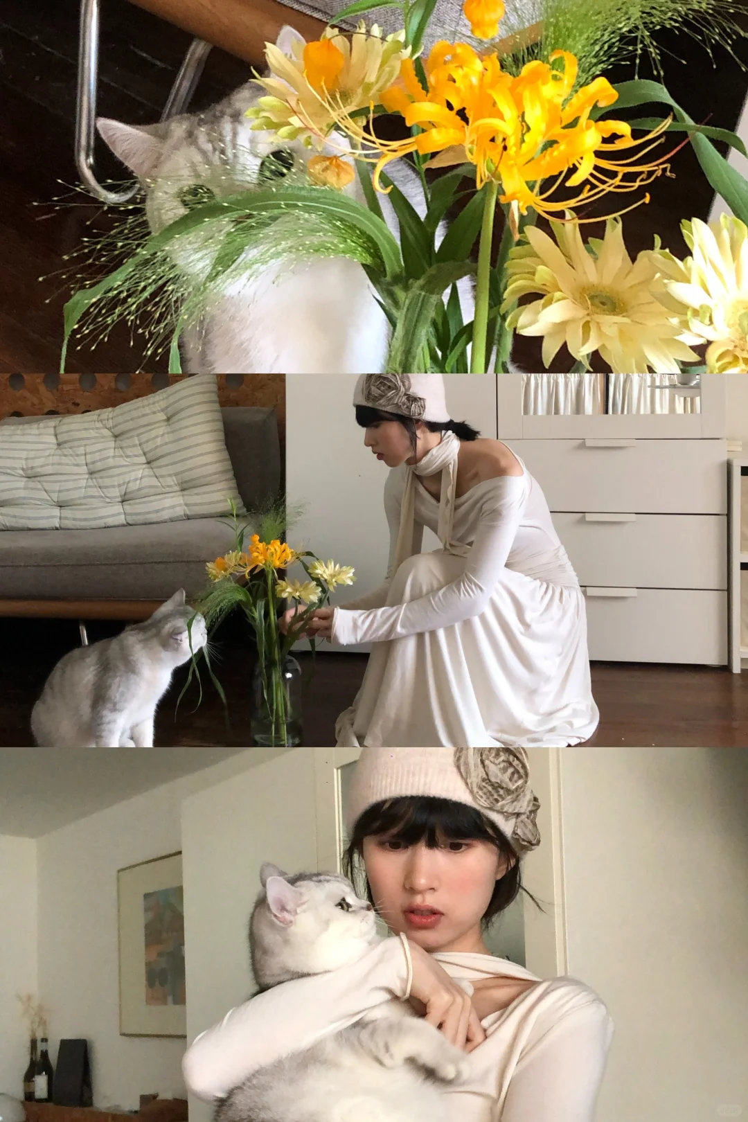 🐱：花和我 谁美？