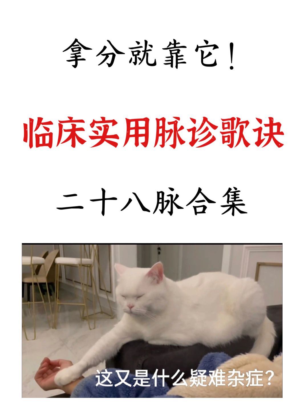 有了这份28脉合集，脉诊一学就会！