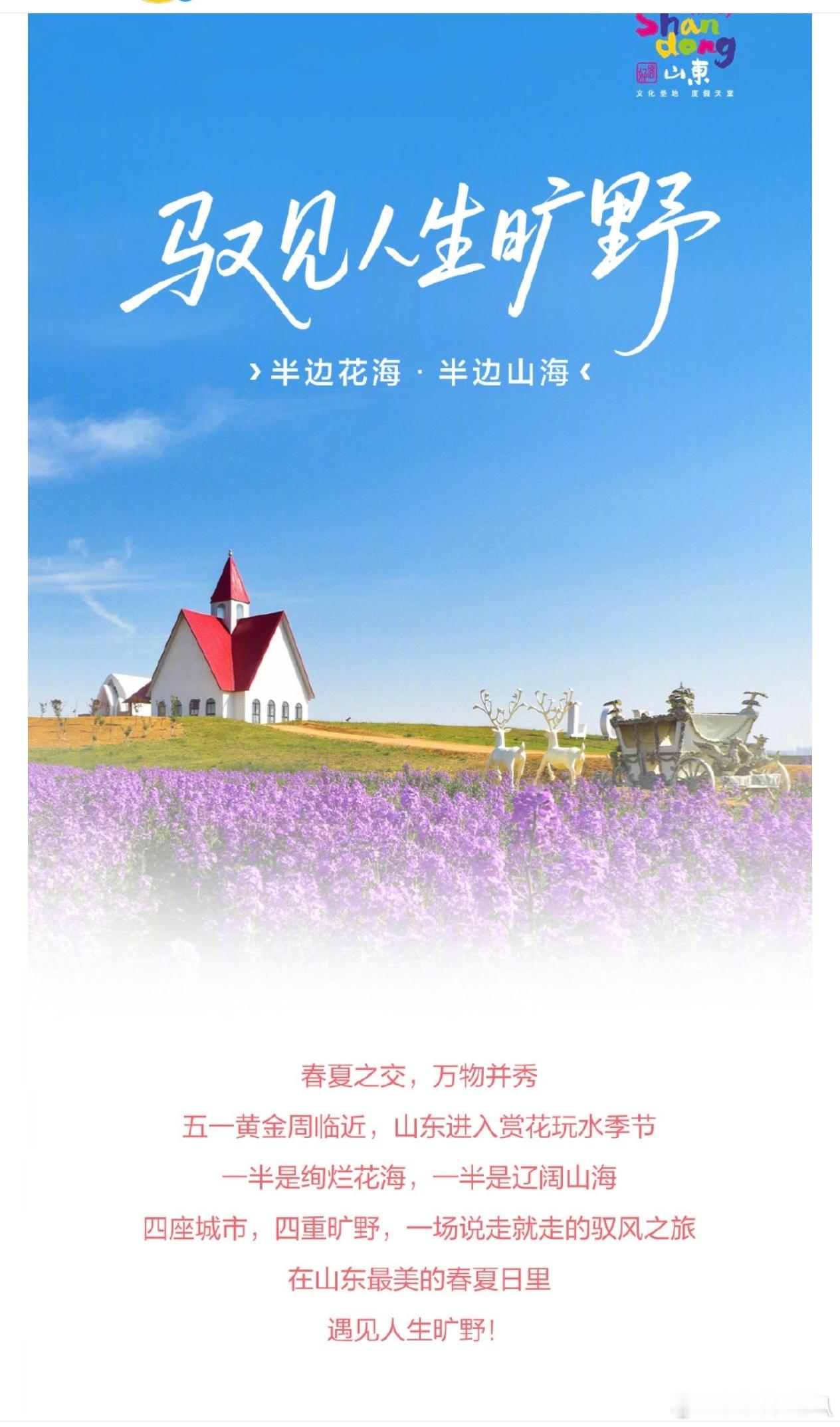 情感社区五一山东赏花玩水路线攻略 半边花海，半边山海。春夏之交的山东，美得像一首