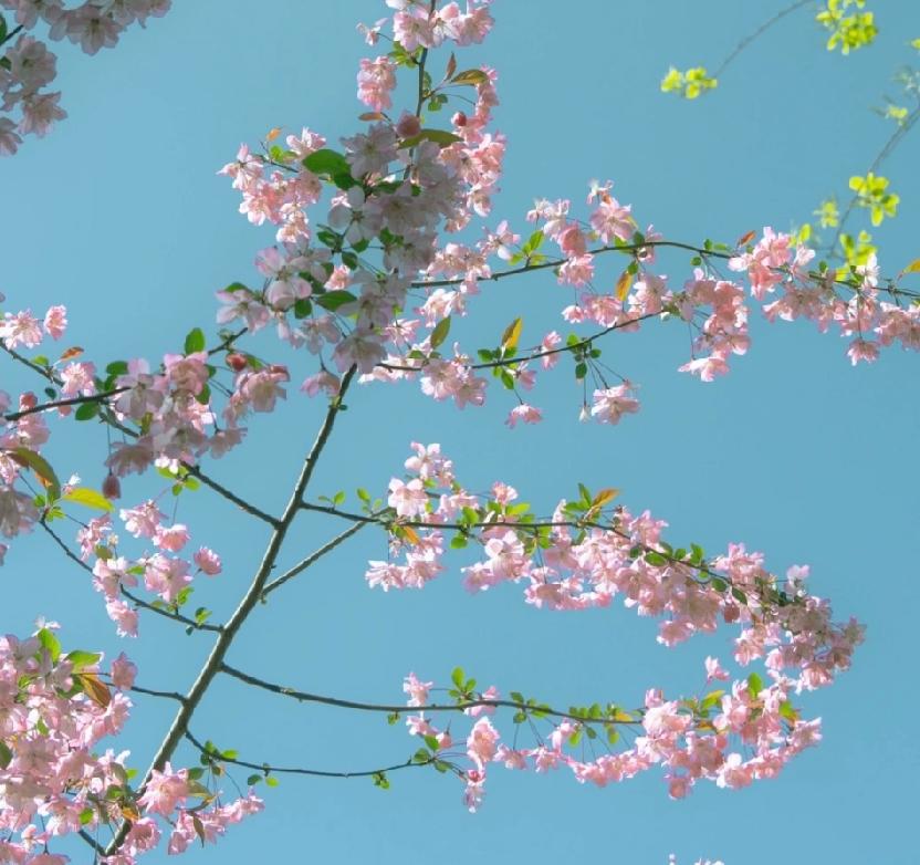 他告诉我他昨天的收益是九十多，
我好奇的打开了他的主页，
阅读量只有9000多，