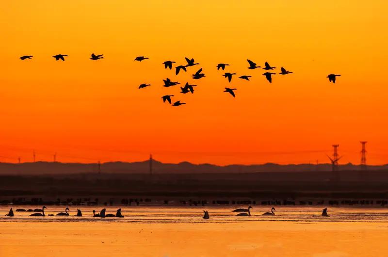 上联：秋乘落叶去，求下联：…？秋乘落叶去，春迎飞雁归。意境：随着落叶飘落，秋天悄