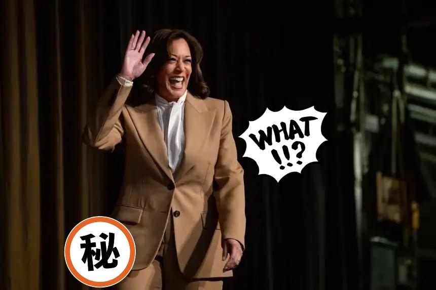 美国前副总统卡玛拉·哈里斯当地时间10日表示，她“正在考虑”2028年再度参加美