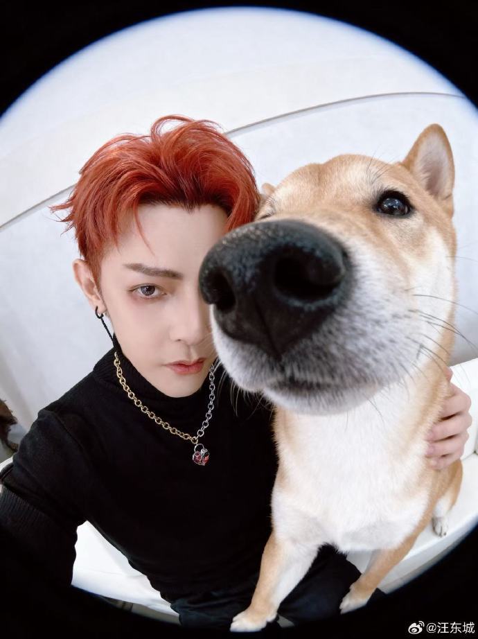 汪东城每年愚人节都退圈 今天带着这个退圈的保留节目又毫不意外地上线了哈哈哈哈，工