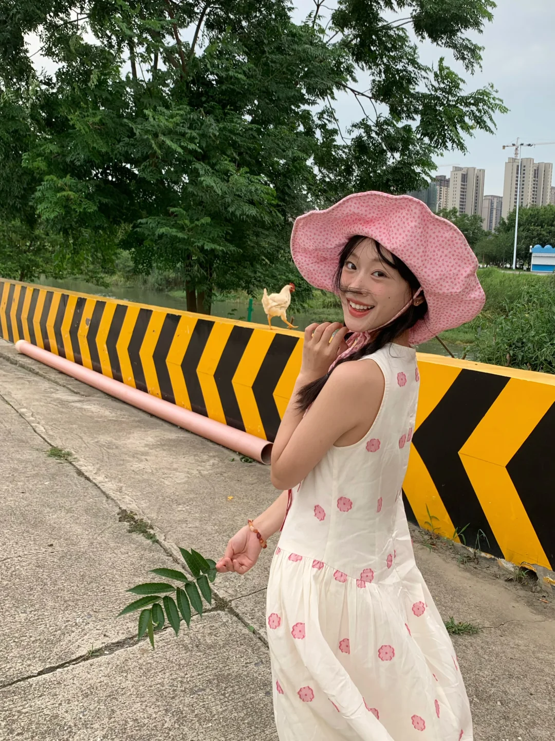 ˳✧🍃小镇夏天·🐓·