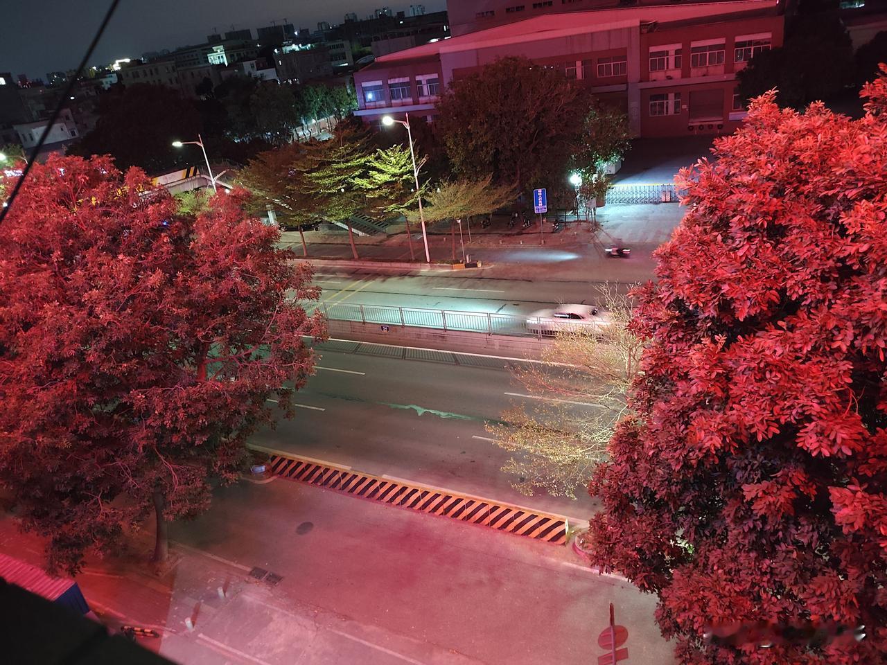 晒图笔记大赛腊月二十七日夜，窗外的公路上仍旧车水马龙，只是行人寥寥无几。大部分工