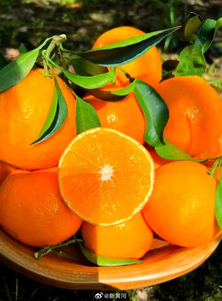 【#市监局认定昆明邮政卖橙子虚假宣传# 】中国邮政集团有限公司昆明市分公司在抖音