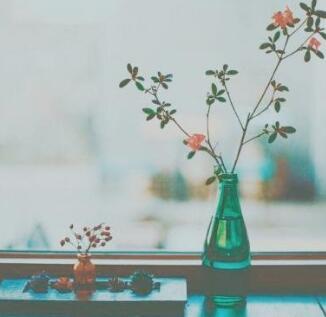 处女座与哪些星座最般配第一，金牛座两个同为土象星座的星座，虽然进展不会太快，但是