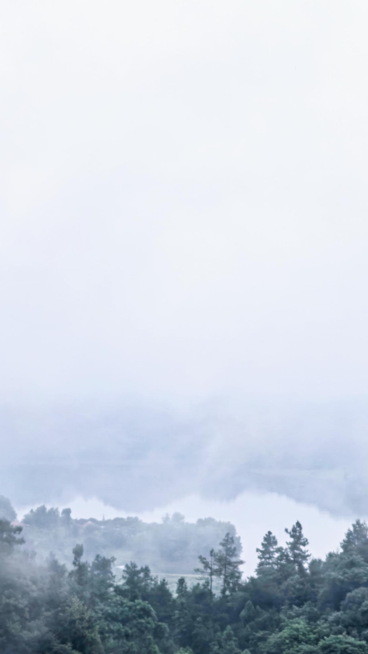 古风·诗债

清风可否偿诗债？
雪冻寒窗已十年；
滋生贵贱千千万，
暗通款曲拨柳