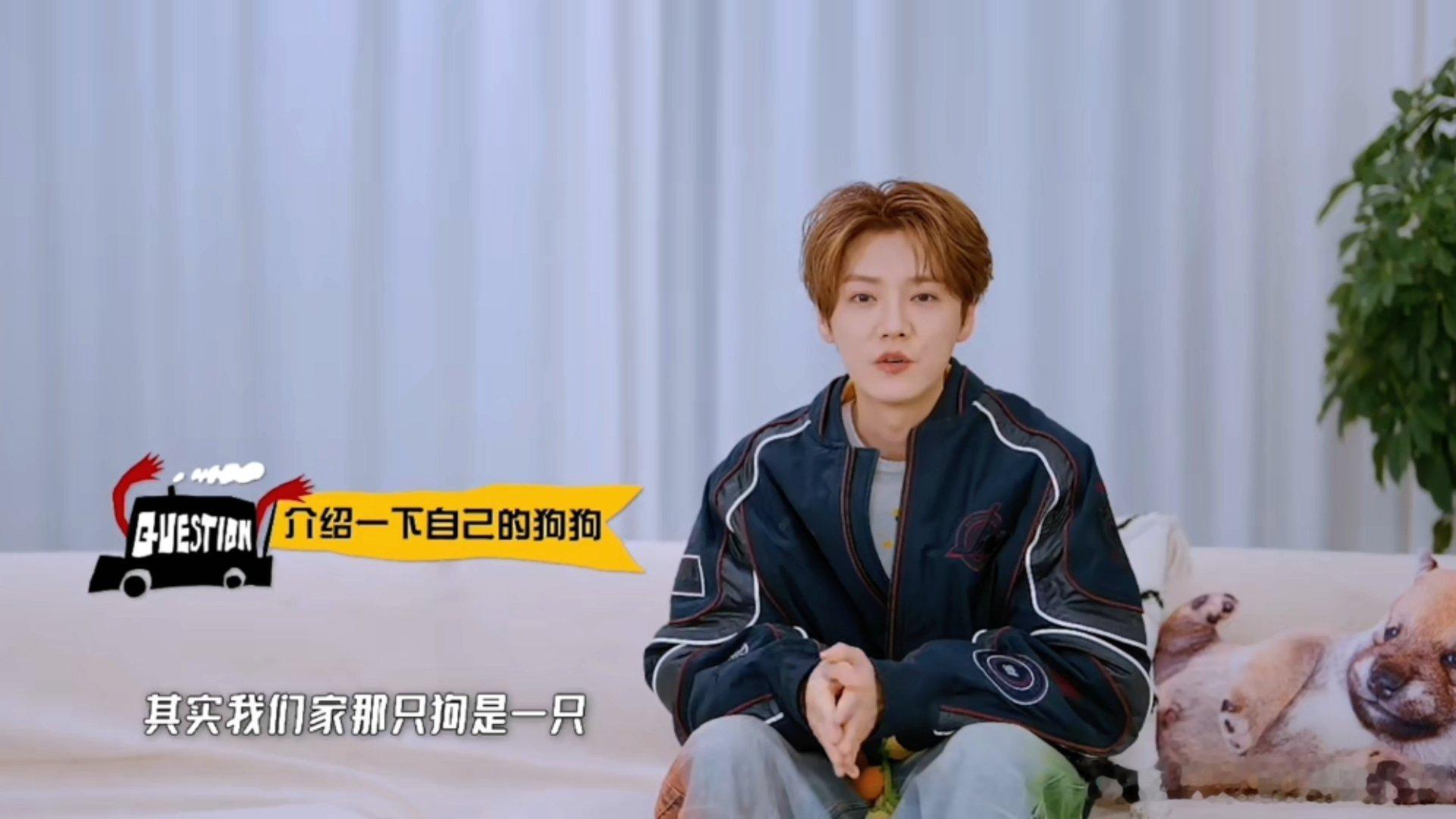 鹿晗能跟馒头聊俩小时邓超鹿晗的狗是亲戚哈哈哈哈哈馒头内心OS真的太真实了！陪鹿晗