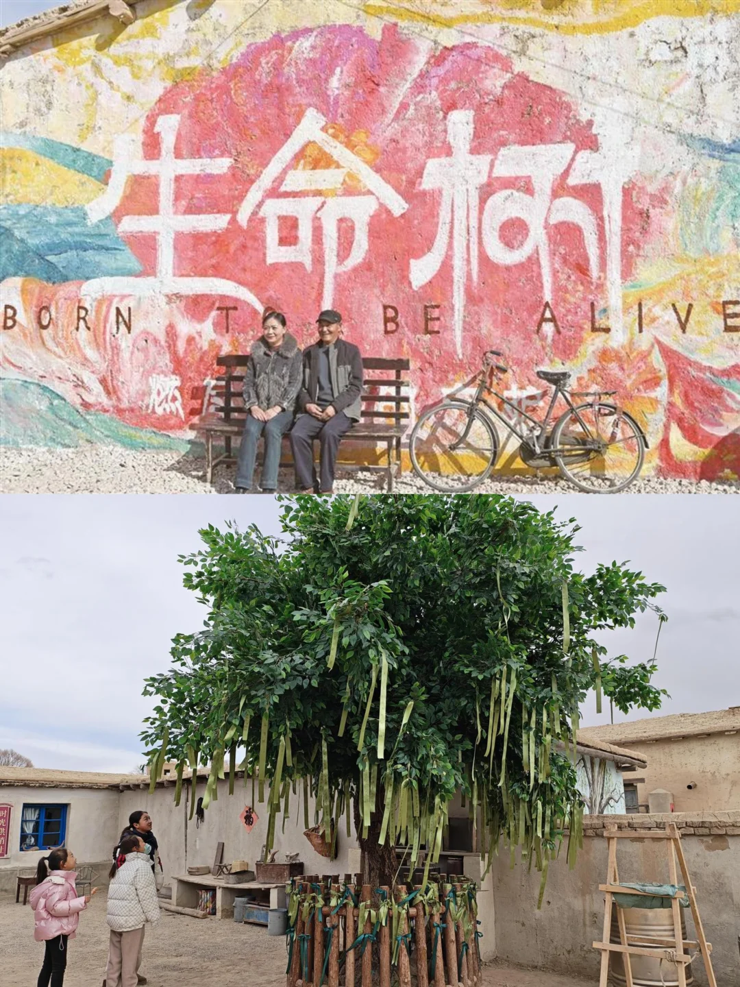 德令哈必吃🔥杨紫胡歌同款炕锅