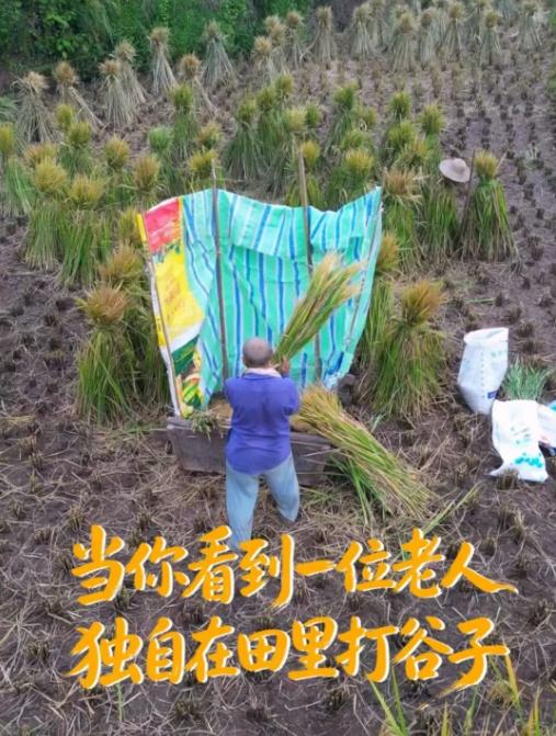 “破防了。”四川的一位小学音乐老师，原本只是想用无人机拍点稻田丰收的景色。可当镜