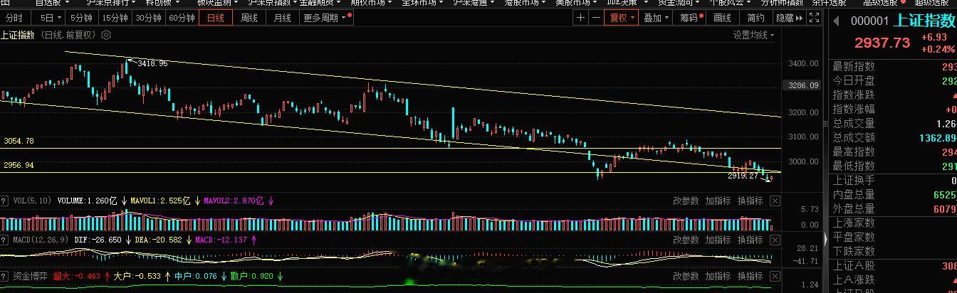 大家想要的双底来了，接下来的反弹应该是众望所归了，所以操作上围绕着早盘的强势布局