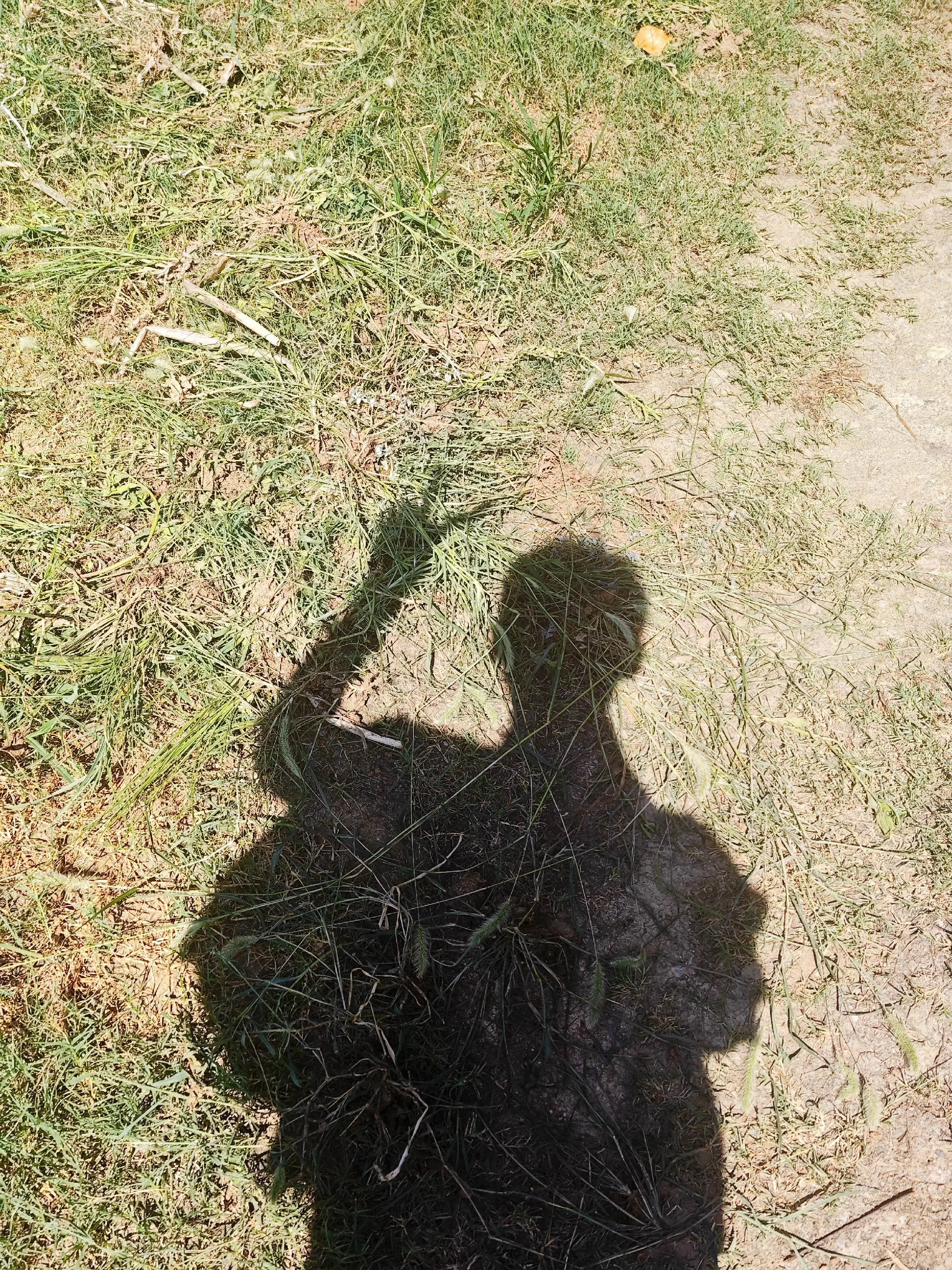 再坚持一下，你可以的“聍欲”