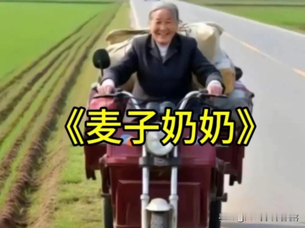 “麦子奶奶”的追梦之旅：骑三轮车南下看祖国山河
近日，河南安阳一位 60 多岁的
