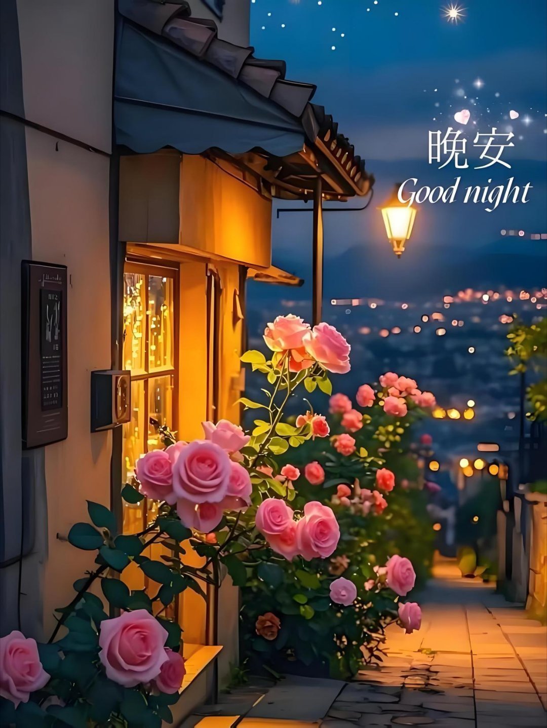 晚安 愿你睡前与温柔相拥，醒来和幸福相逢。不必追赶时光，不必勉强合群，也不用时刻