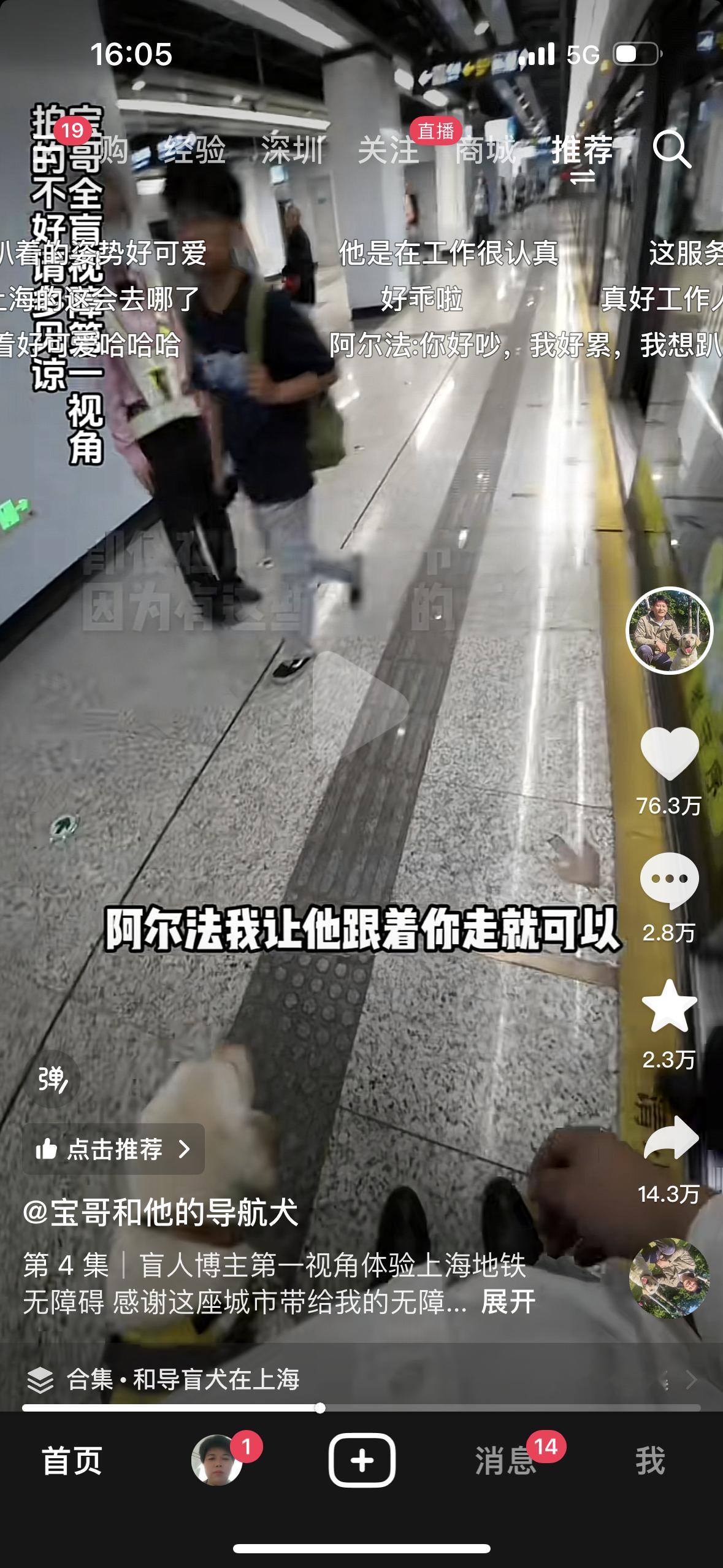 在痘印上关注了一个博主，宝哥和他的导航犬，这只导盲犬名字叫阿尔法，他平常听到最多