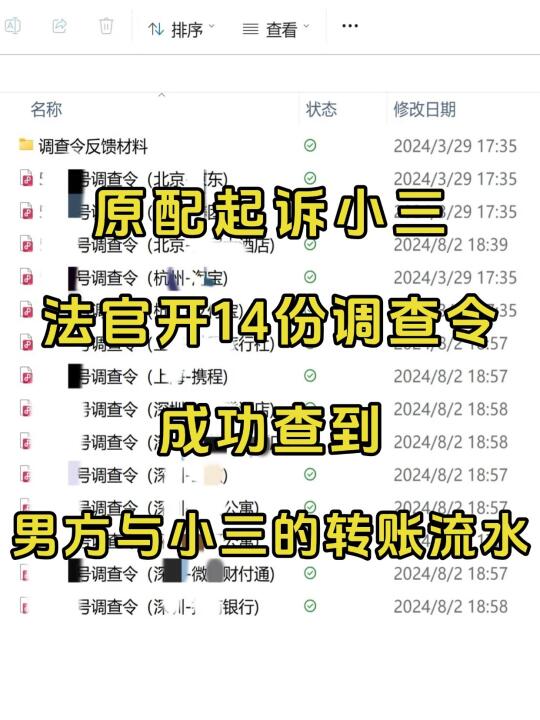 开14份调查令，成功查到男方给三的流水