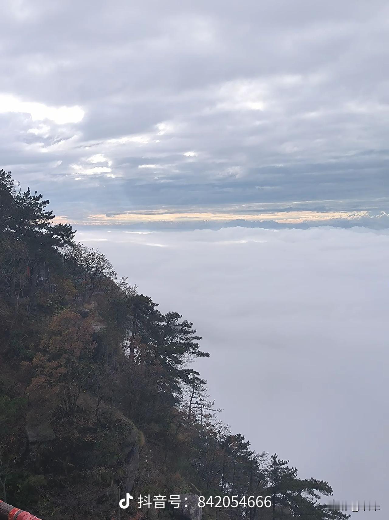 好不容易熬到了周末
却胸口痛头痛
胸口痛的喘不上来气
头痛的睁不开眼睛
总说好好