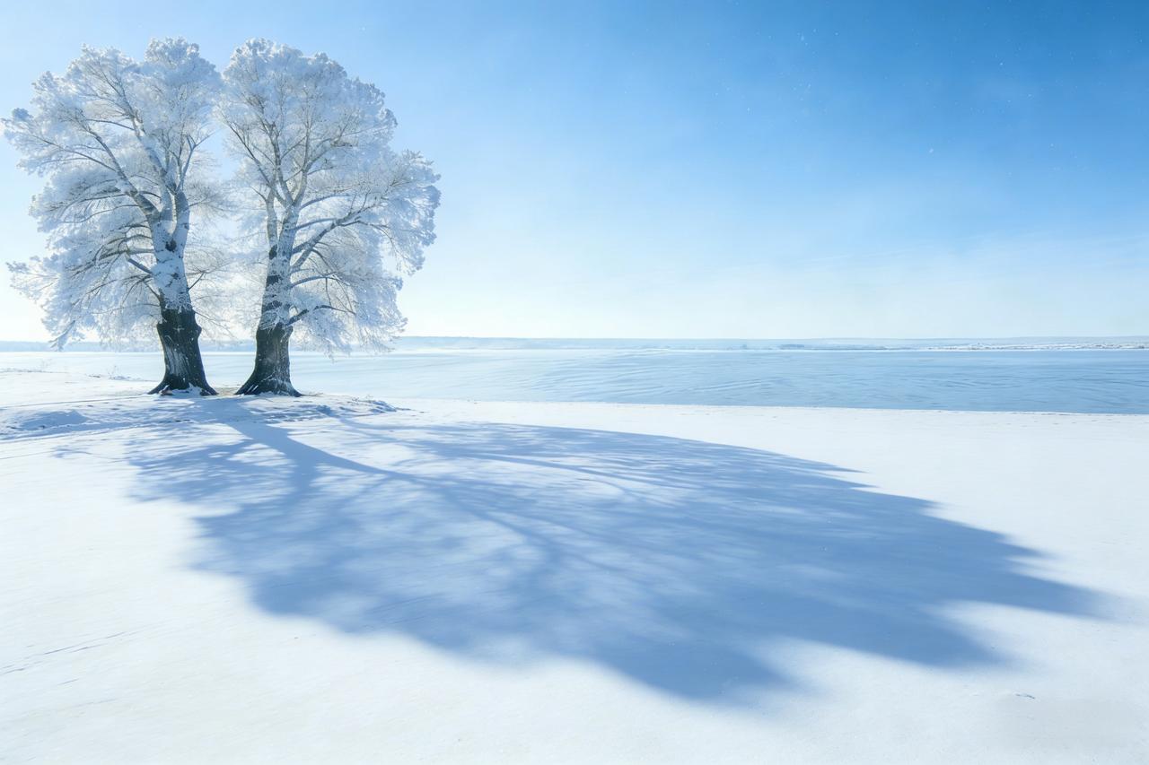 影子的根
 
湖面冻封，积雪盈岸，东方曦光初绽，将岸边两株老杨树苍劲身影长长铺展