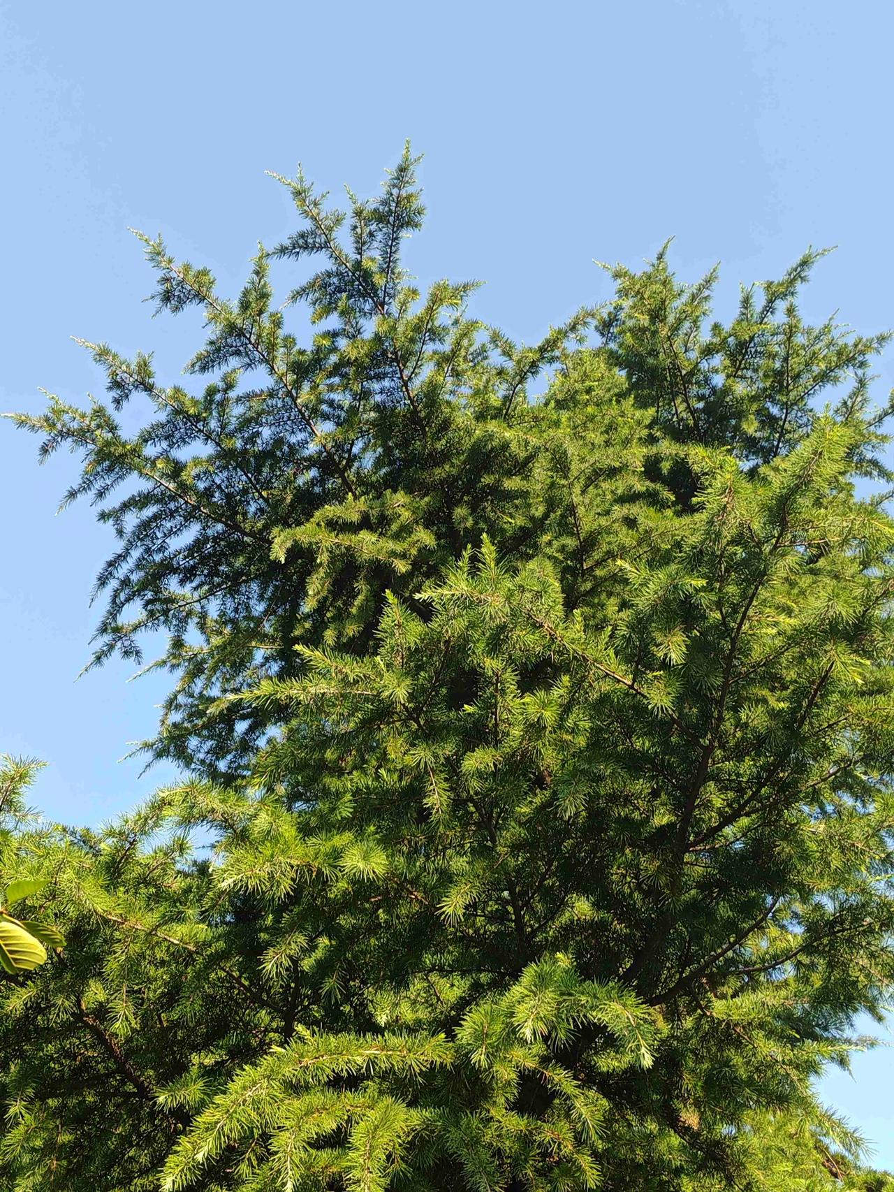 我的今日状态：😁轻松愉快
我这里的天气：☀️晴天