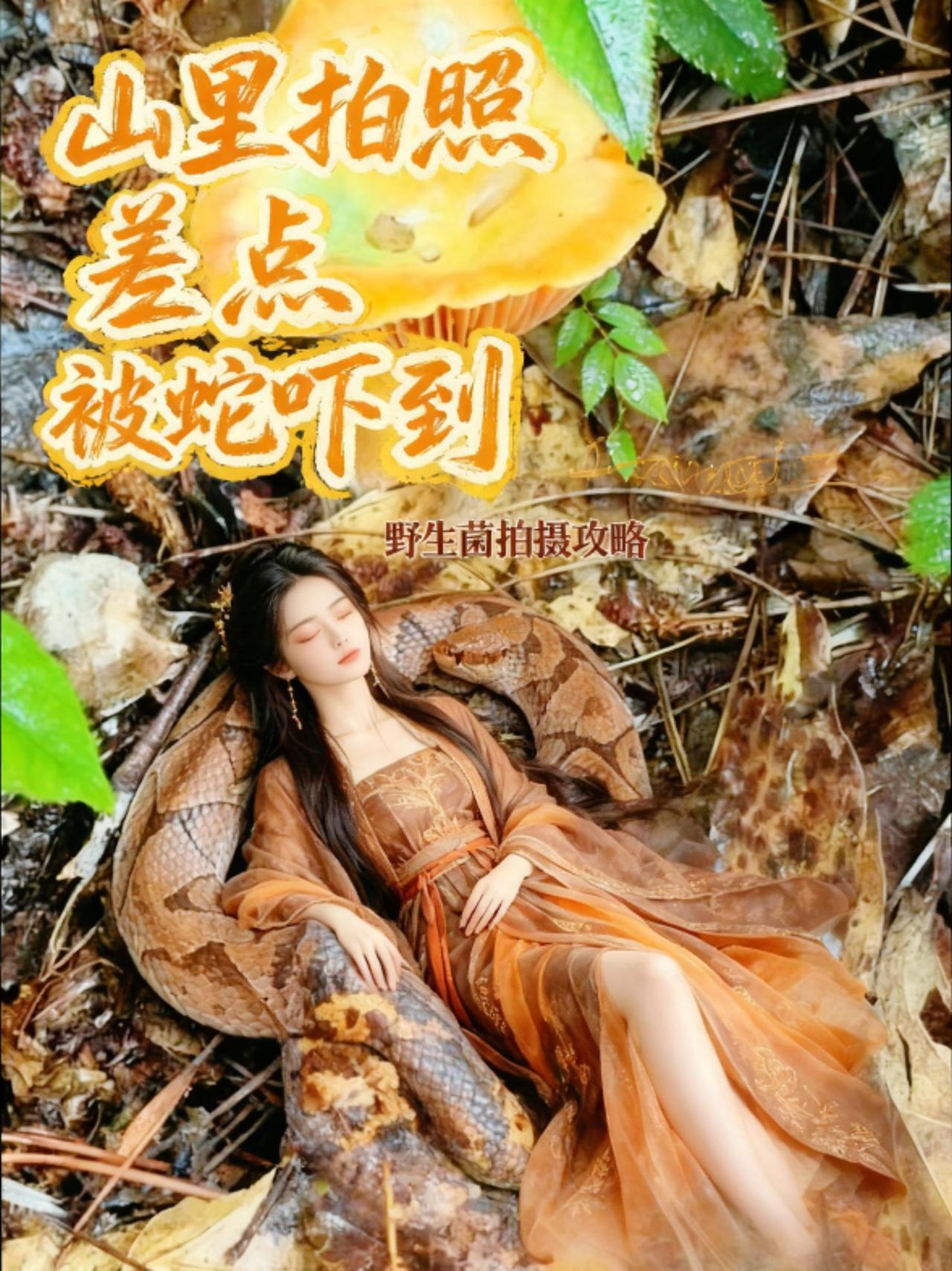 据说5姐泡酒，大补……你碰到5姐是跑还是……欢迎评论区留言进山取蘑菇碰到蛇 进山