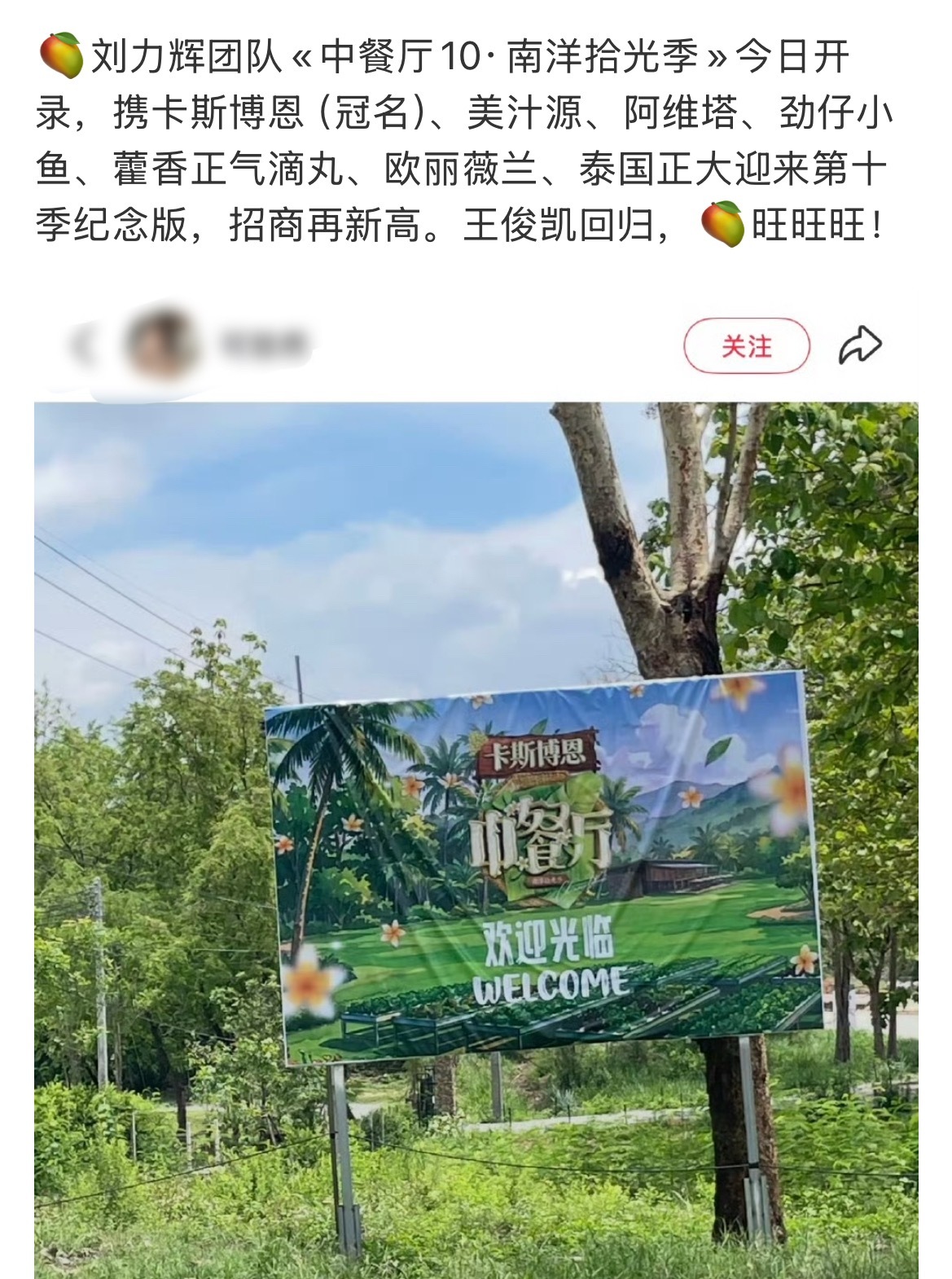 王俊凯回归中餐厅10招商创新高 王俊凯回归中餐厅10，今日泰国开录七大品牌携手强