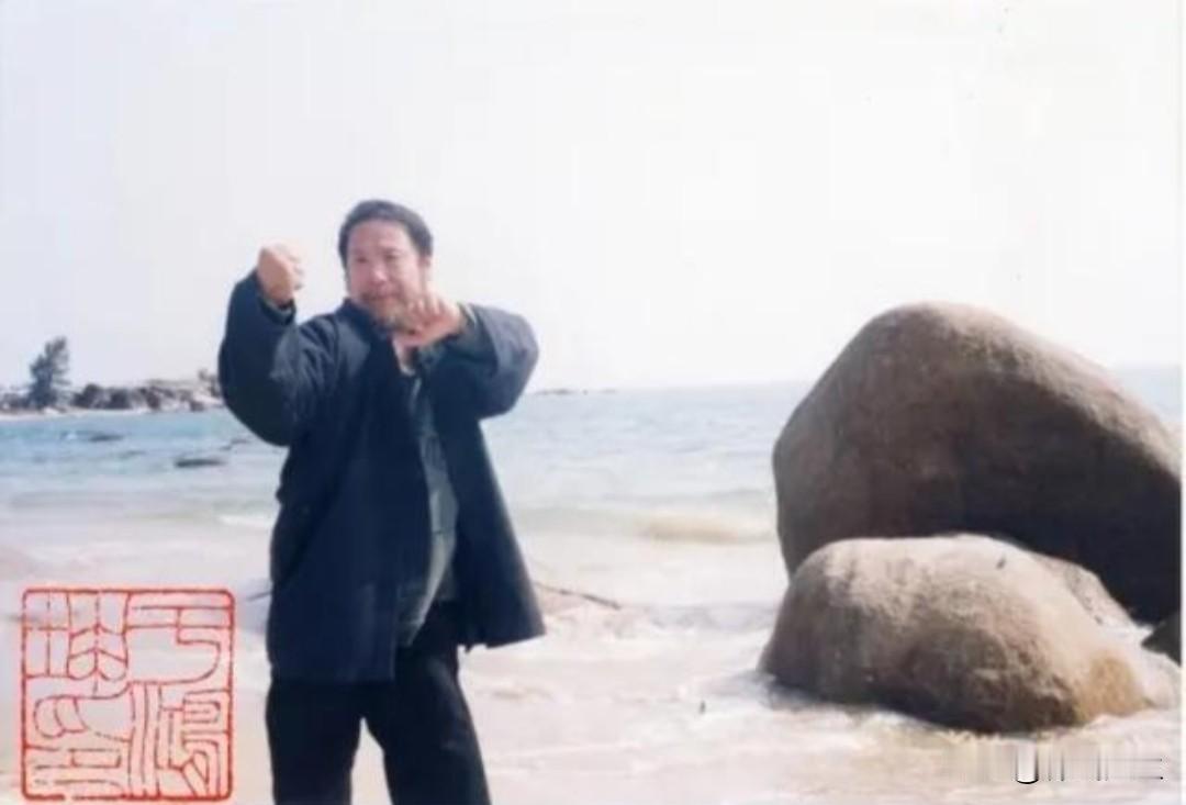 关于大成拳“争力”：别再被表象误导，这才是真正精髓！

很多人天真地以为，大成拳