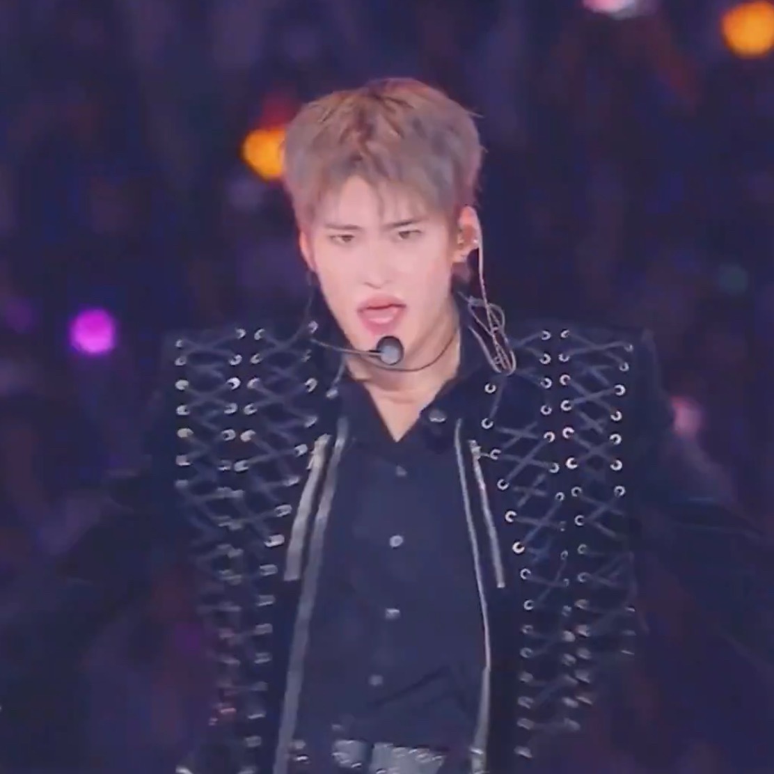 染成灰毛也是最可爱的小狐狸🦊 