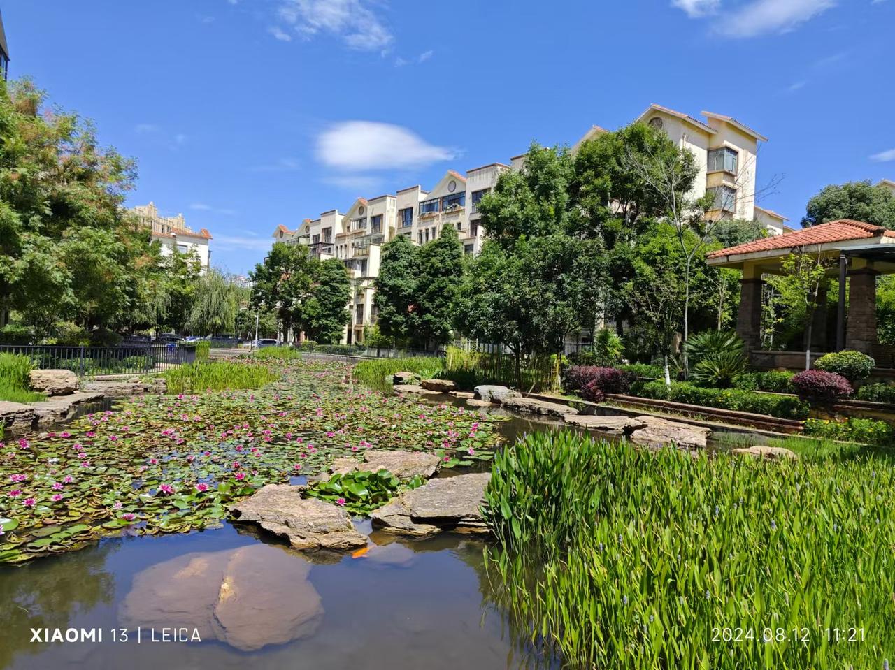 调酒师是最厉害的[赞]
只要用食用酒精加上猫尿、酱油、敌敌畏，就能调出酱香酒！