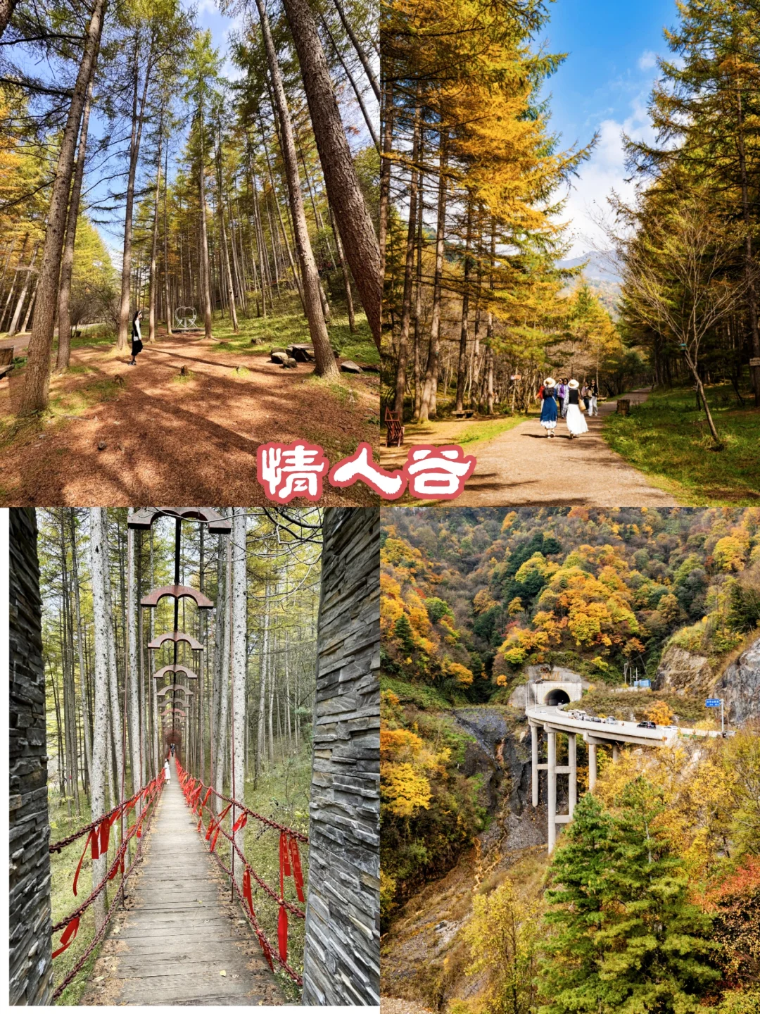 留坝红叶季自驾攻略