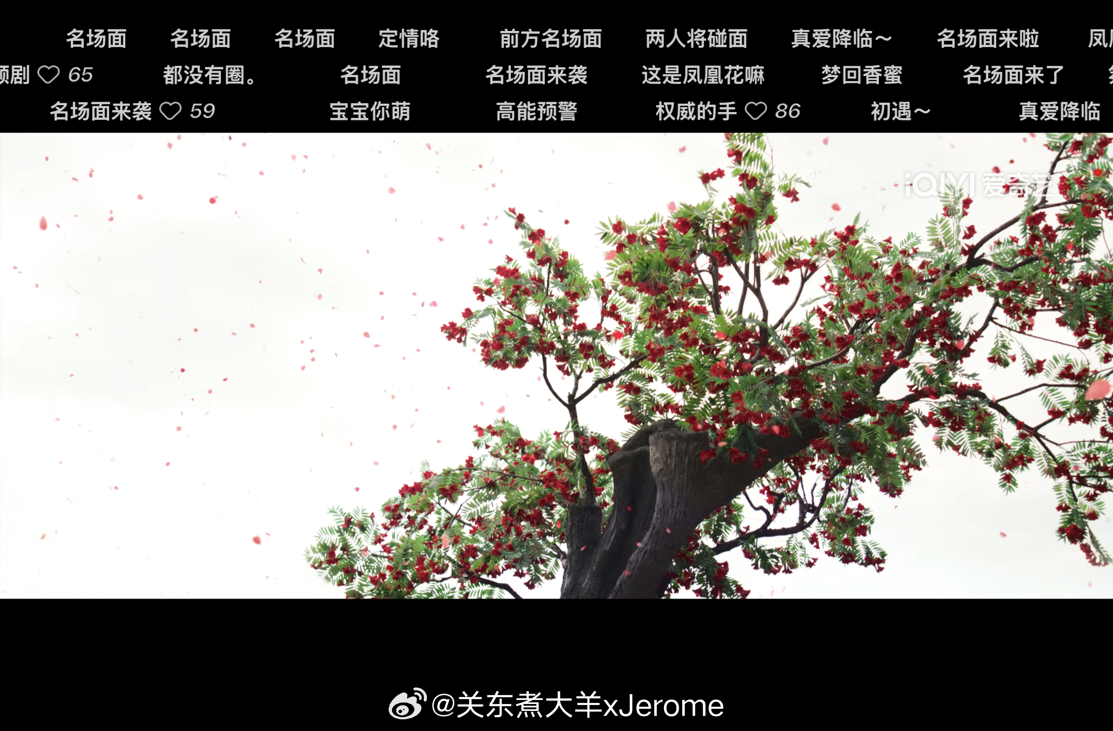 这花又假又丑 
