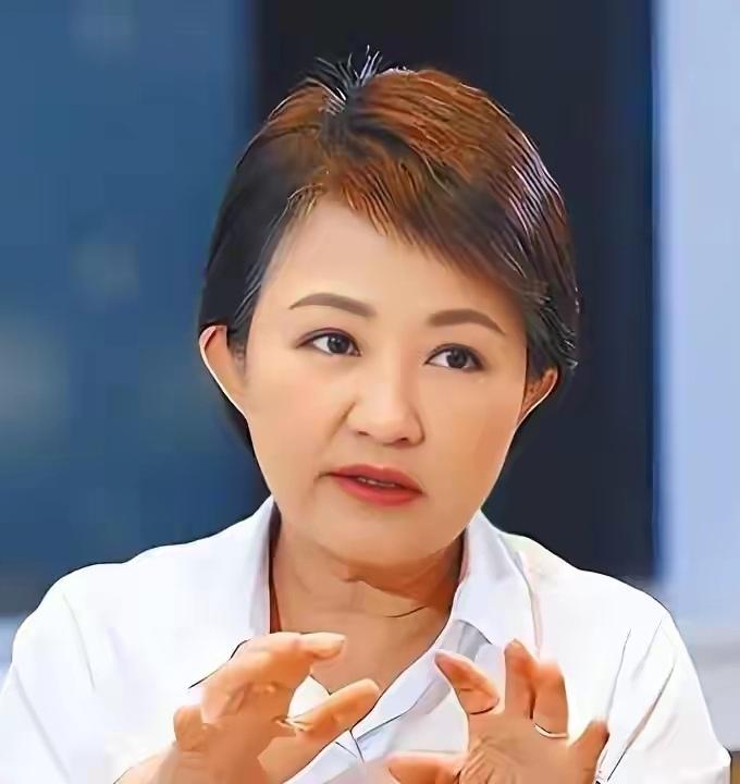 还有机会出现2028台湾地区领导人选举的闹剧吗？这样的闹剧是时候停止了。
如果台