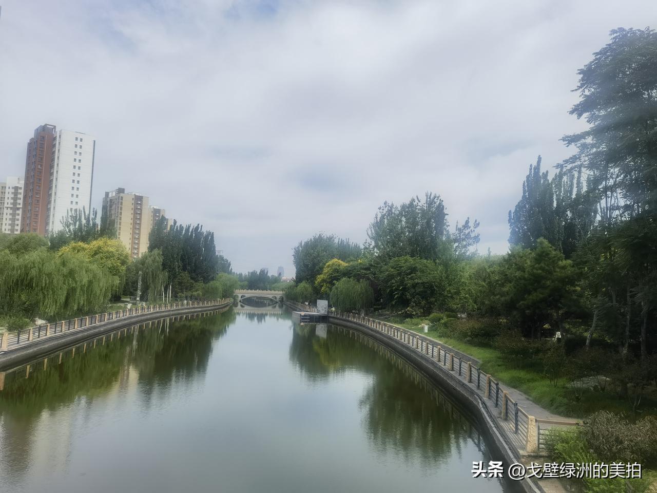夏日炎炎，保定府河开始进行生态补水，河水看起来清澈了许多，不知这种良好状态能维持
