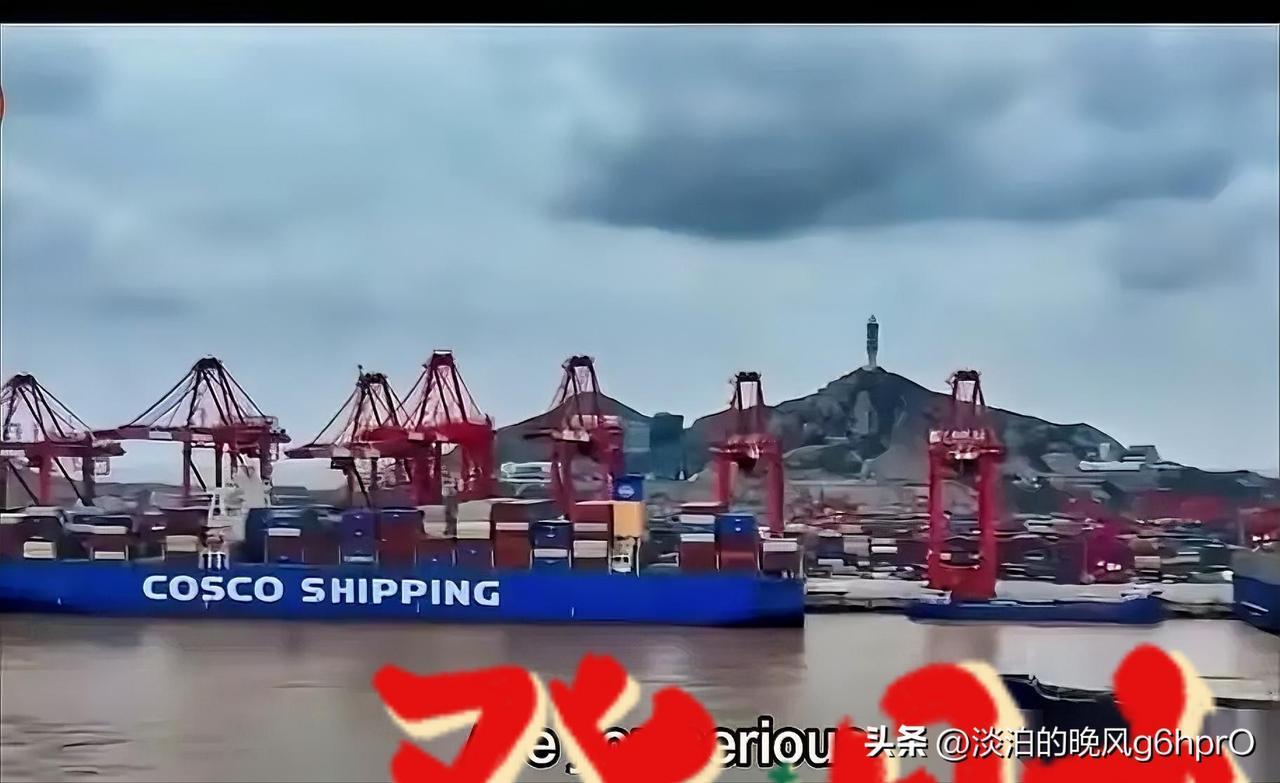 你敢信？一个美国船长，对着咱们的收费单，脸都白了，连问了三遍：“真的假的？”
一