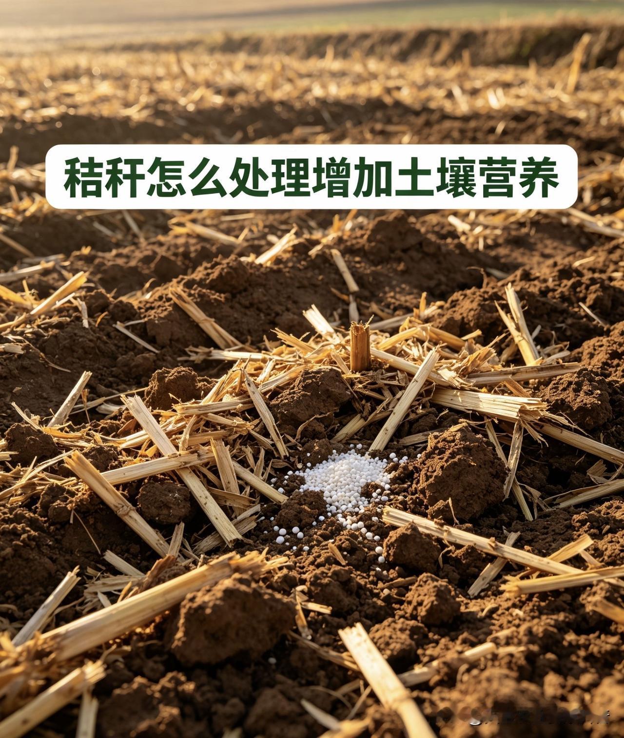 秸秆怎么处理增加土壤的营养?农作物秸秆是珍贵的天然有机肥源，富含有机质、氮磷钾及