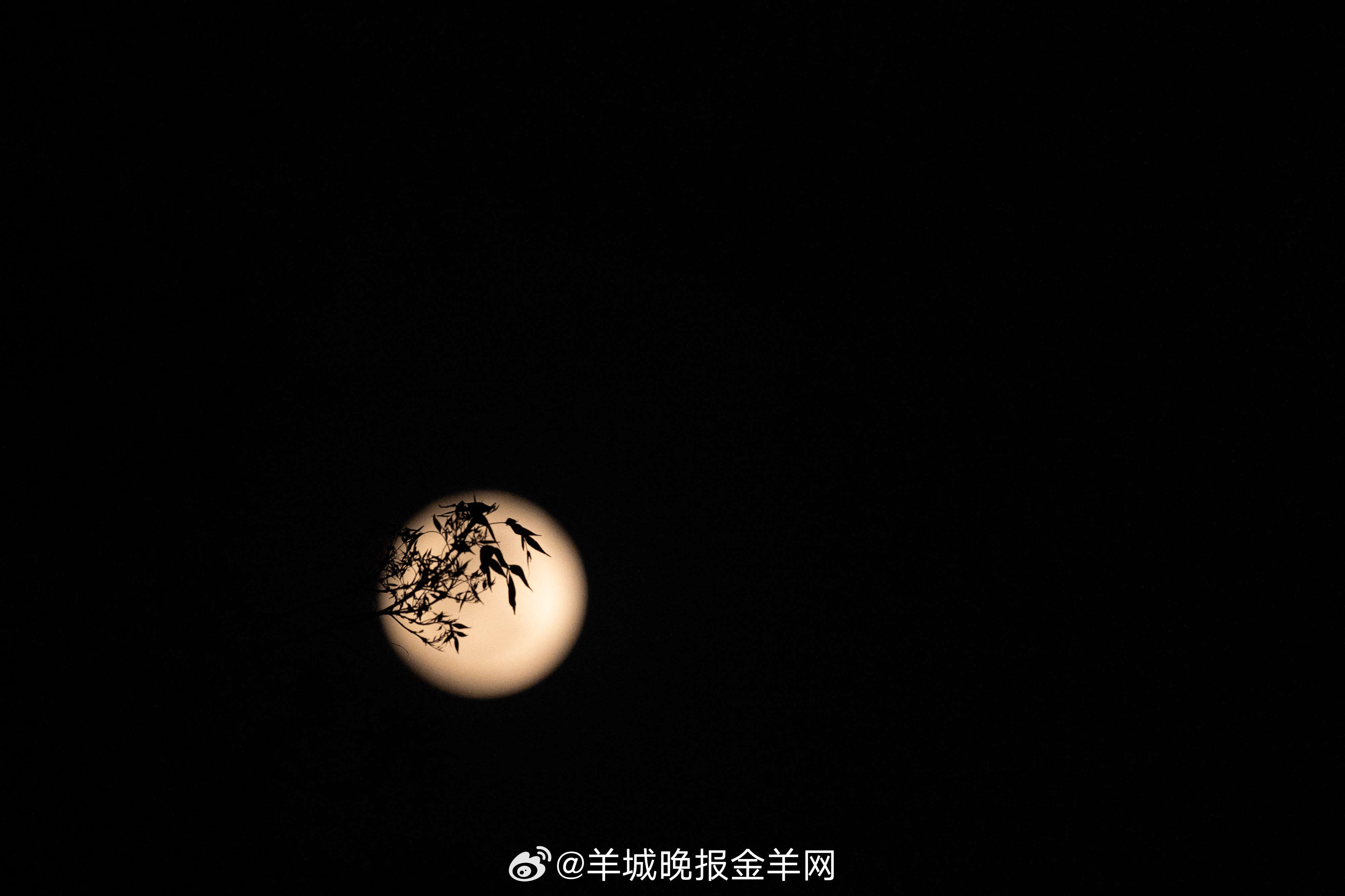 #晚安# 那些看似不起眼的重复，正在重塑你的人生。晚安！ 