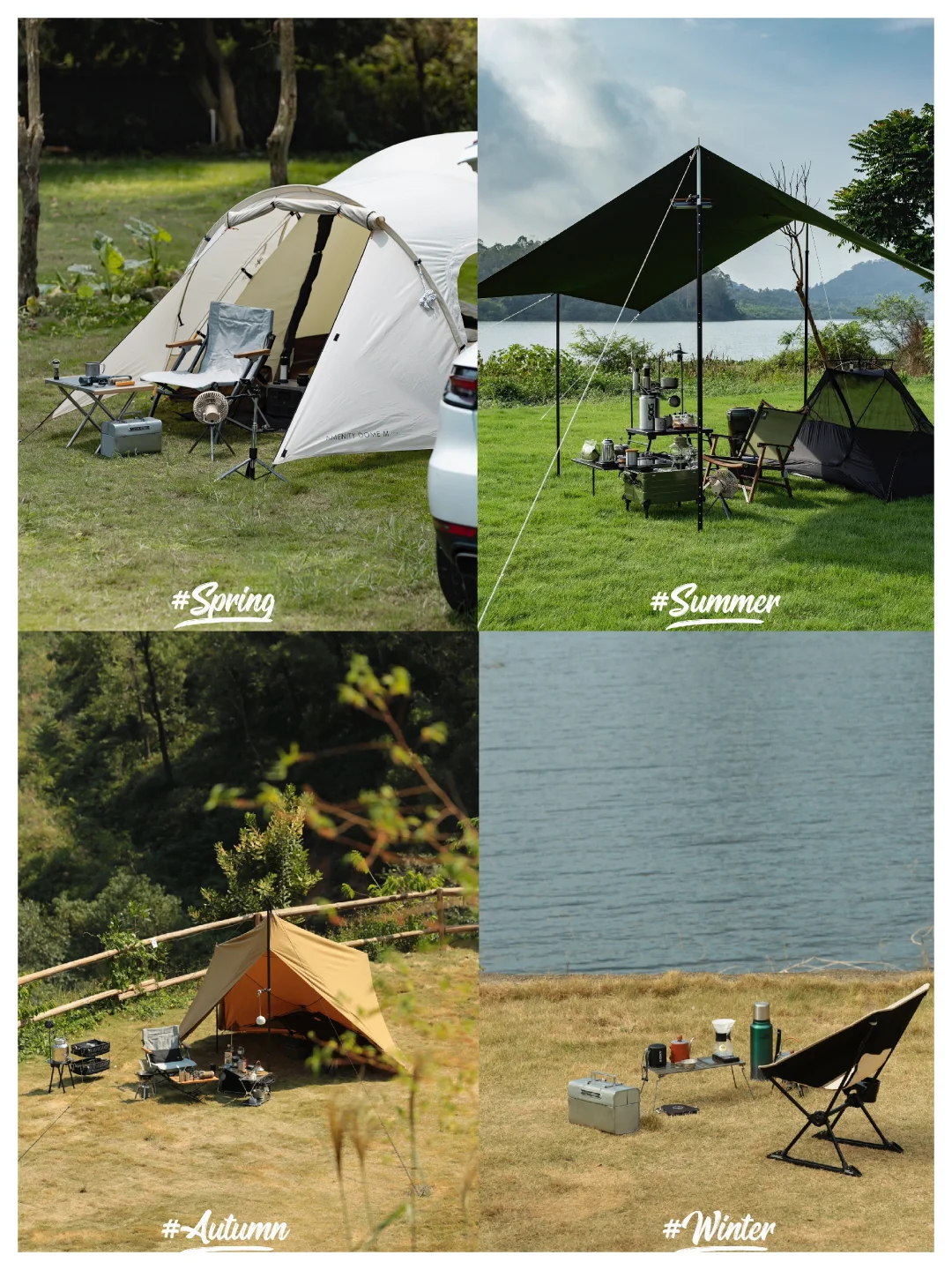 晃眼四季，才发现广东今年好像没有冬天啊🥹