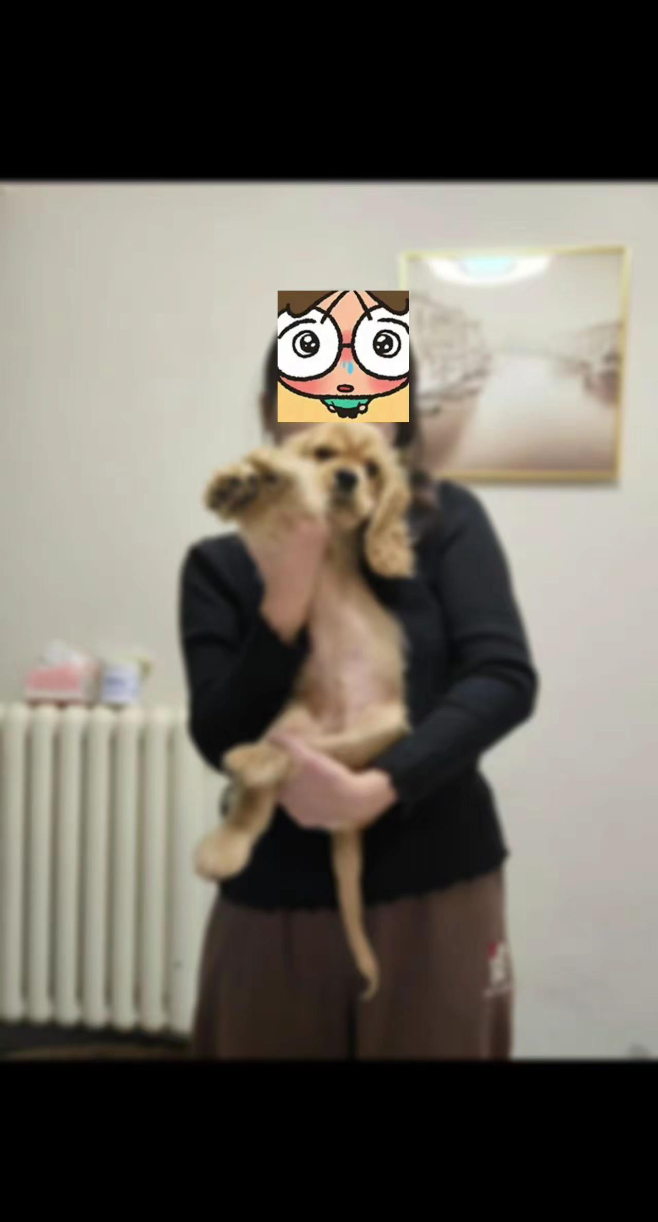 致自己和他。这是留在手里的唯一和你有关的照片，半年前我觉得我和你这辈子都没有可能