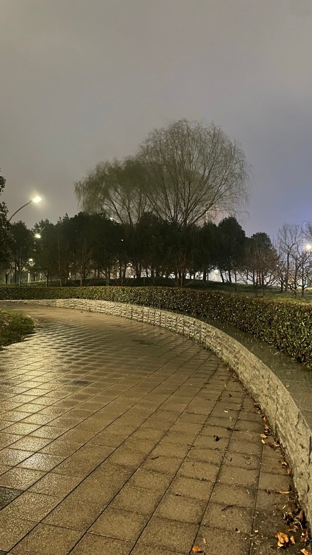 一条常常走的路，再多次的风霜雪雨，也不过是独自的一场场经历罢了。        